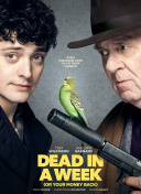 天天酷跑中出现的热门活动与奖励